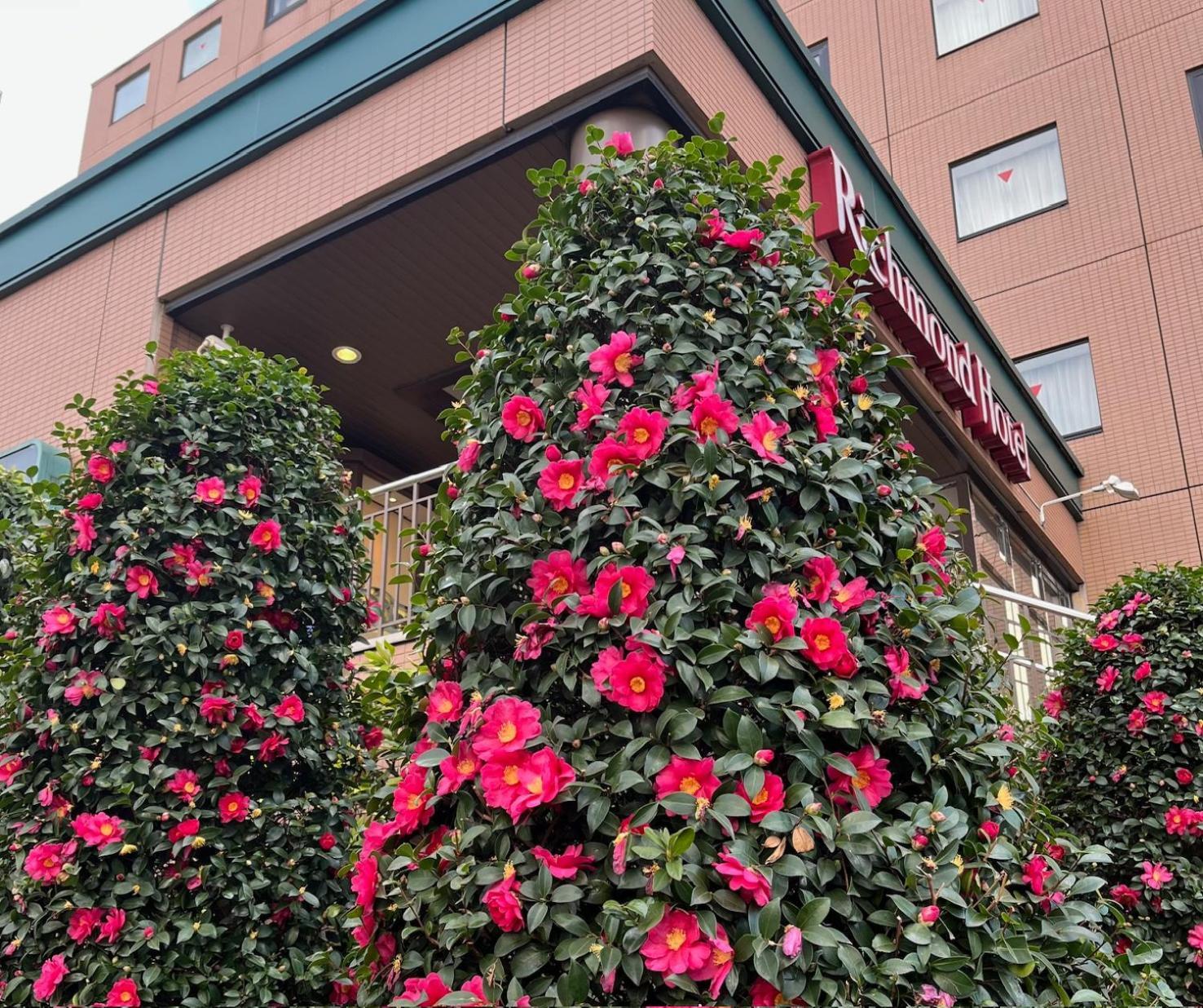 Hotel Richmond Tokyo Musashino